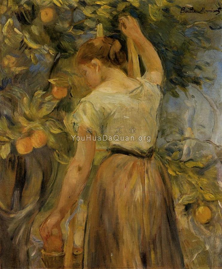 Young Woman Picking Oranges - 贝尔特·摩里索特
